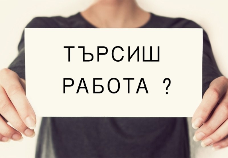 Търсите работа? Обявиха свободните работни позиции в Пловдив и областта