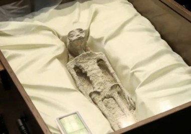 Учени в Мексико твърдят че са открили останки от извънземни същества