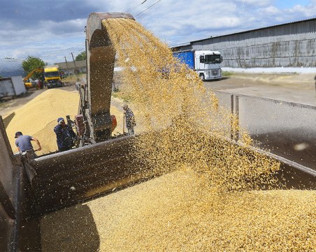 Подпомагат с 63 млн. за земеделците след вдигането на забраната за внос на украинско зърно