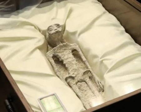 Учени в Мексико твърдят, че са открили останки от извънземни