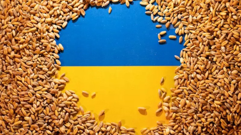 Депутатите решават дали да вдигнат забраната за украинско зърно