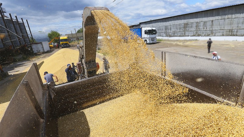 Подпомагат с 63 млн. за земеделците след вдигането на забраната за внос на украинско зърно