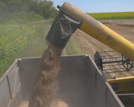 Полша, Унгария и Словакия удължиха забраната за украинско зърно