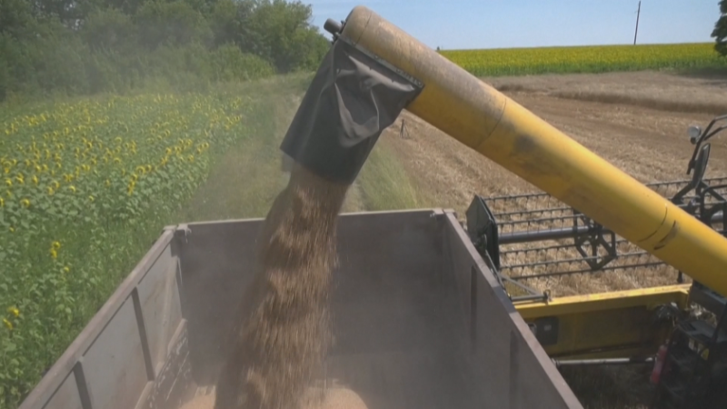 Полша, Унгария и Словакия удължиха забраната за украинско зърно