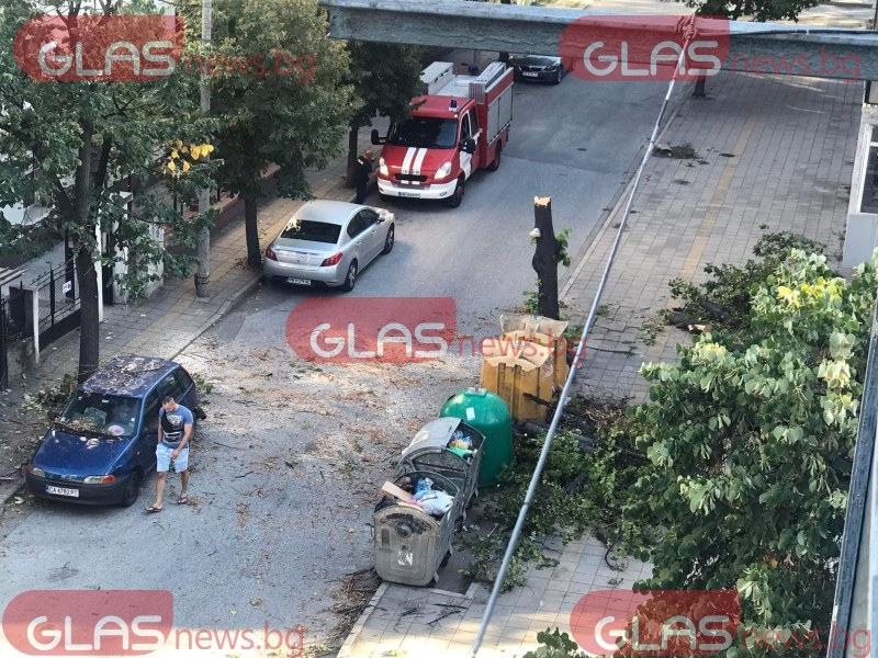 Дърво се сгромоляса върху кола в Пловдив