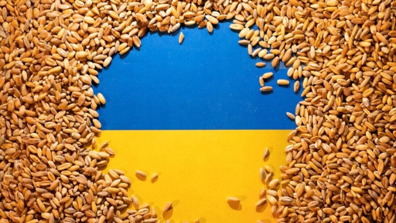 Украйна подала оплакване срещу Полша, Унгария и Словакия за забраните за зърно