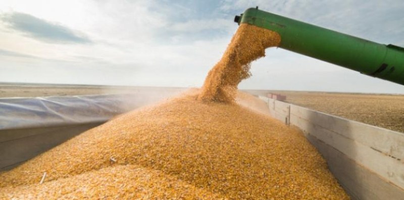 Украйна ще съди Полша, Словакия и Унгария заради забраните им за внос на зърно