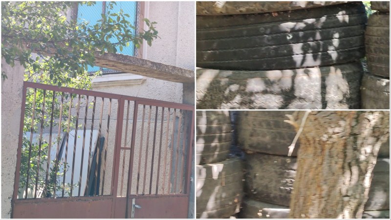 Бивш военен проси пари за дарения за животни, държи ги заключени в къща пред срутване край Пловдив