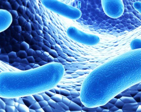 Защо да приемаме пробиотици редовно?