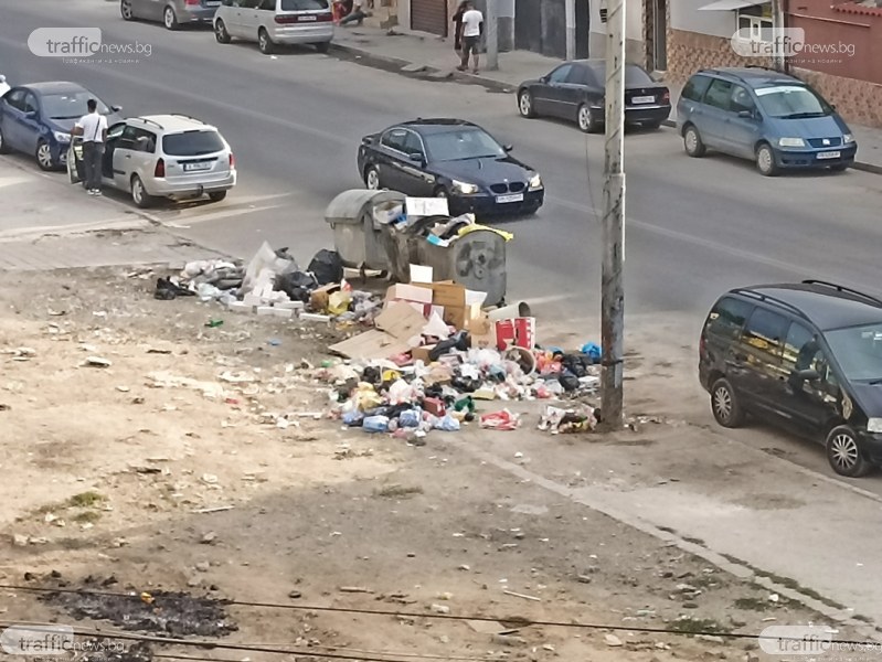 Това е ежедневното положение с боклука на ул. Ландос, затова сигнализира