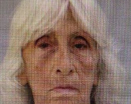 Издирват с куче изчезнала 77-годишна жена в Чепеларе