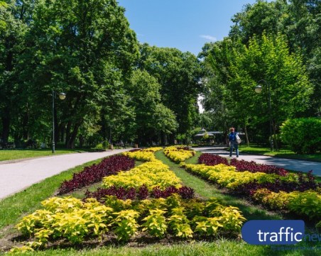 Жега и днес в Пловдив, след това температурите падат