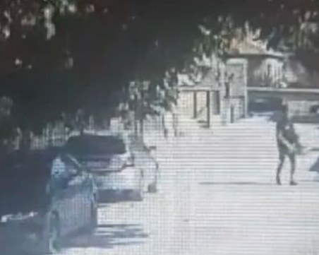 Тровят кучета и котки в Прослав със силно токсична отрова за гризачи