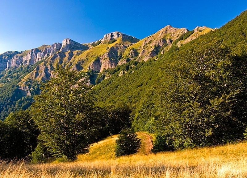 Планински спасители помогнаха на изгубени туристи във Врачанския Балкан