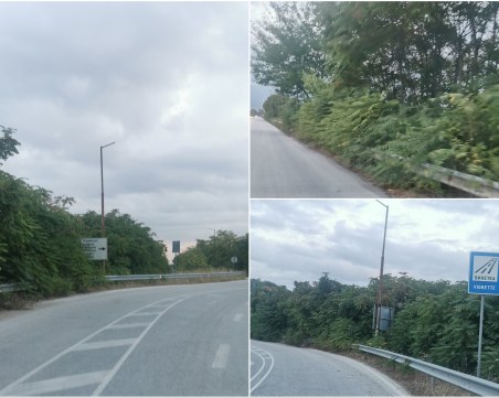 Заради липса на поддържащи фирми: Пътищата край Пловдив заприличват на джунгли