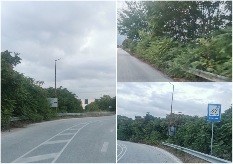 Заради липса на поддържащи фирми: Пътищата край Пловдив заприличват на джунгли