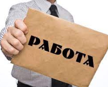 Търсиш работа? Обявиха свободните позиции в Пловдив и областта