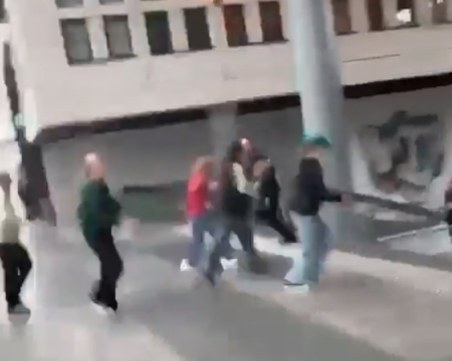 Нападателят от Ротердам бил осъждан за насилие над животни