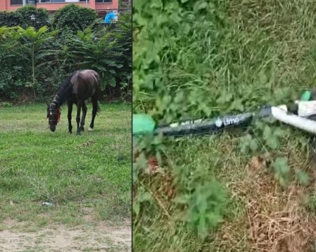 Рибар на Марица: От едната ми страна пасе кон, а от водата изплува тротинетка