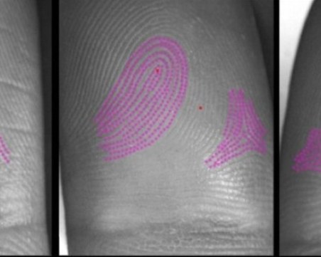 Точно под носа ни: Mиризмата на човек може да се сравни с генетичен подпис