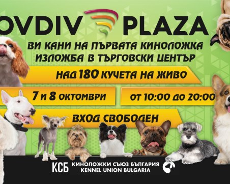Над 180 породисти кучета участват в Международна киноложка изложба в търговски център тази събота и неделя!