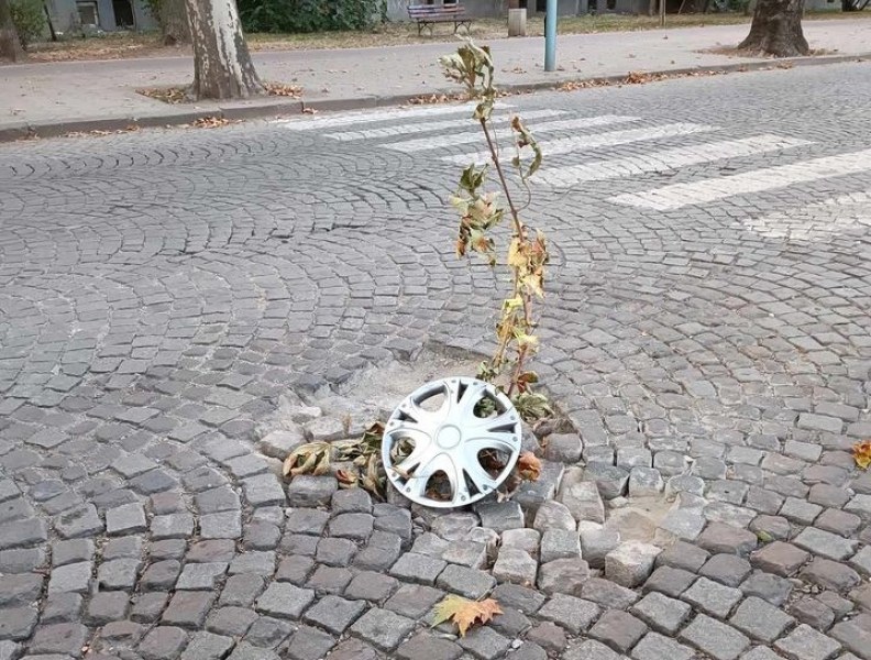 Опасна дупка дебне за жертви на бул.”Копривщица”, обезопасиха я с клонка и таз от кола