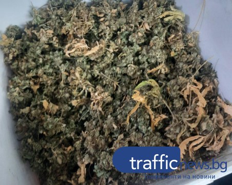 Марихуана за около 45 хиляди лева е иззета от полициата в Труд