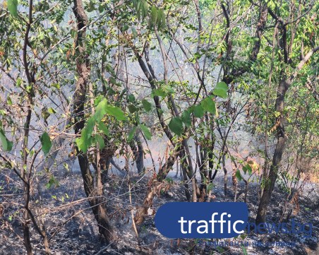 Локализираха големия пожар край Хасково