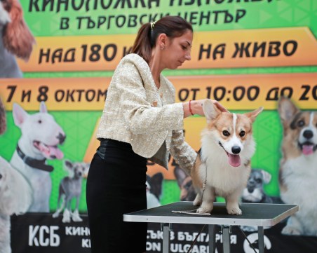 Невиждано изложение и грандиозен фурор в търговски център се случва този уикенд в един от най-големите молове в Южна България!