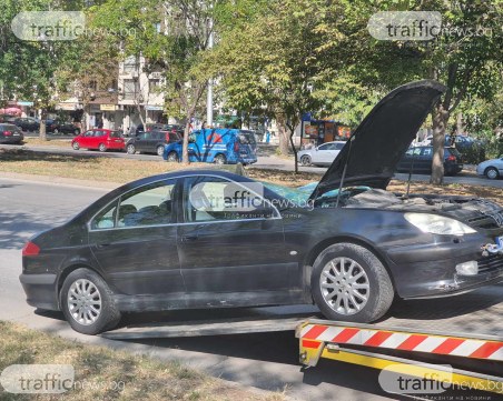 Пежо се размаза в специализиран автомобил на „Градини и паркове” в ЖР Тракия