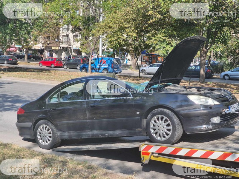 Пежо се размаза в специализиран автомобил на „Градини и паркове” в ЖР Тракия
