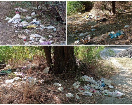 Мизерия в парка на „Тея Инвест