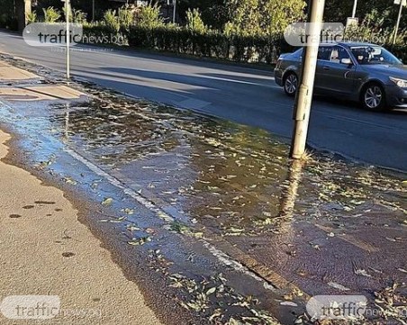 Питейна вода блика до велоалея на бул. „България”