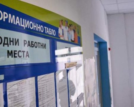 Повече хора са намерили работа през септември, ето кои са най-търсените професии