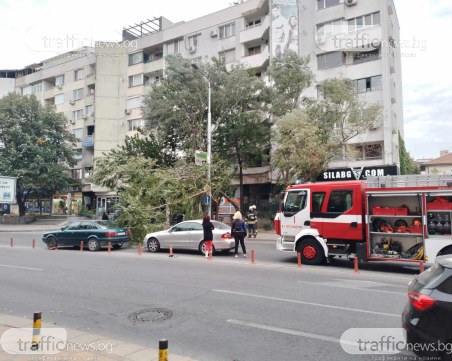 Силен вятър в Пловдив, огромен клон се стовари върху две коли в центъра