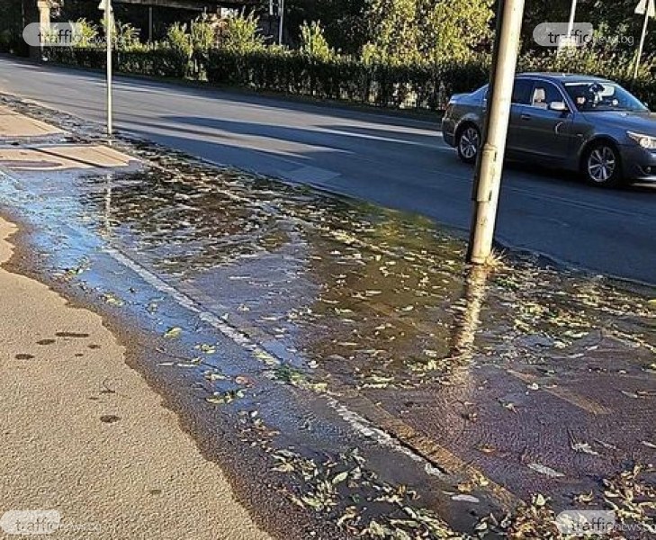 Питейна вода блика до велоалея на бул. „България”