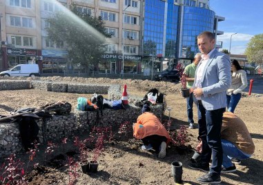 Екипи на Градини и паркове преобразиха кръговото кръстовище между бул