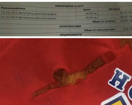 Два питбула се нахвърлиха на кученце в Центъра на Пловдив