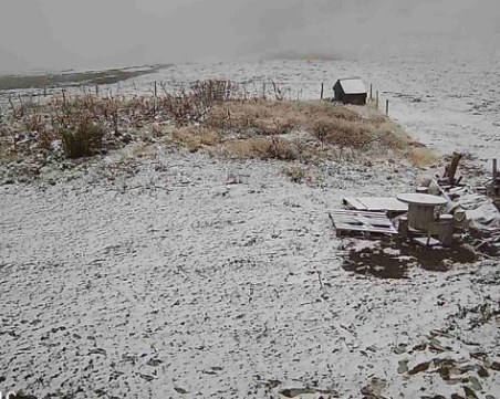 Изненада! Първи сняг в Родопите