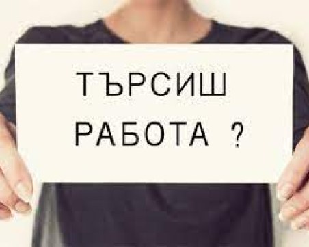 Обавиха свободните работни места в Пловдив и областта - вижте позициите