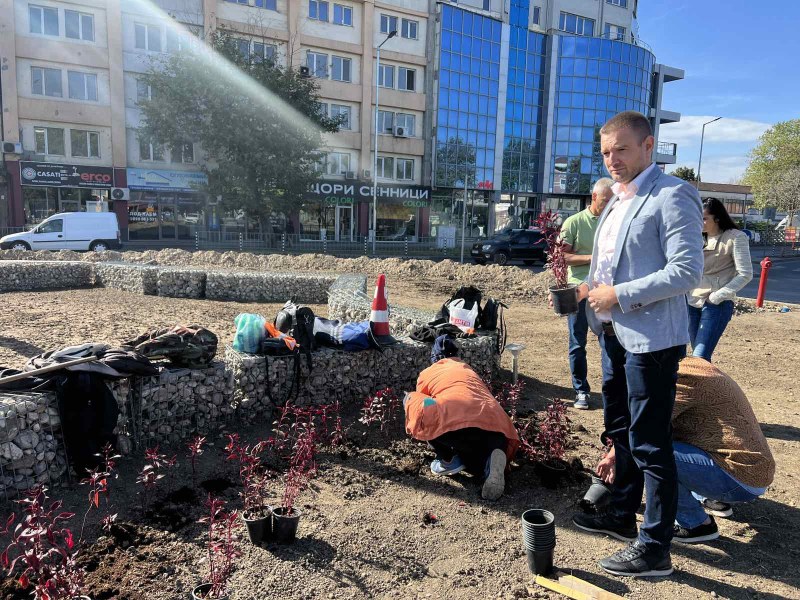 Екипи на Градини и паркове преобразиха кръговото кръстовище между бул.