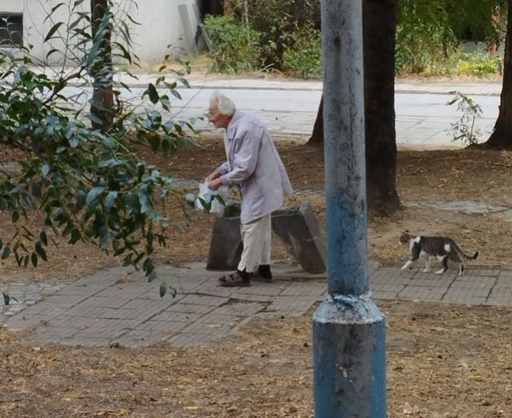 Възрастна жена даде ценен урок на жителите на Пловдив. Бабата,