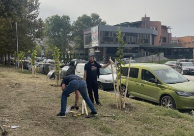Доброволците от Браво Пловдив   днес засадиха 36 дървета  на ул