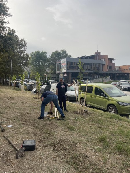 Доброволците от Браво, Пловдив  днес засадиха 36 дървета  на ул.