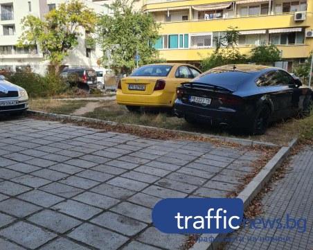 Пловдивчанин: Толкова няма къде да се паркира, дайте да спираме на тревата