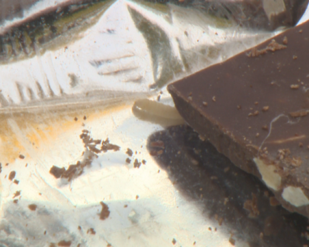 Мъж си купи шоколад с фъстъци, но в него - червей