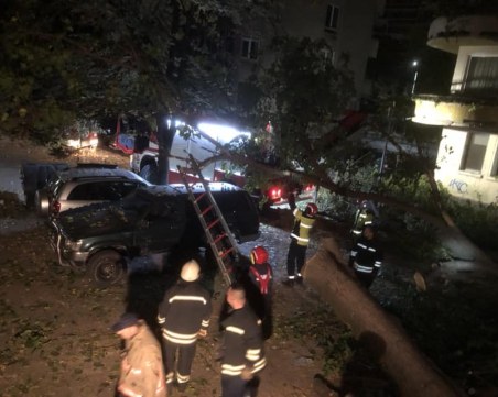 Огромен клон се стовари върху 10 коли в Пловдив, човек се размина на косъм от инцидент
