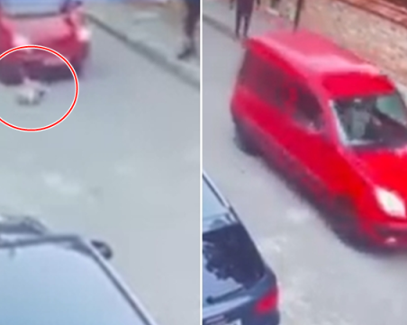 Шофьор блъсна куче пред очите на стопаните му и продължи