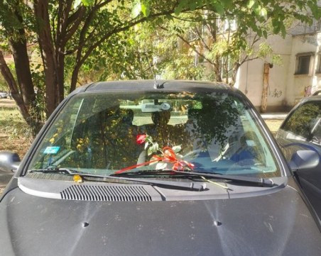 Красива роза очаква своя притежател върху паркирана кола