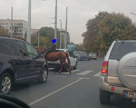 Пловдив като Дивия запад: Дете с кон пресече на 